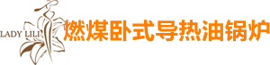 燃煤卧式导热油锅炉