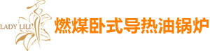 燃煤卧式导热油锅炉